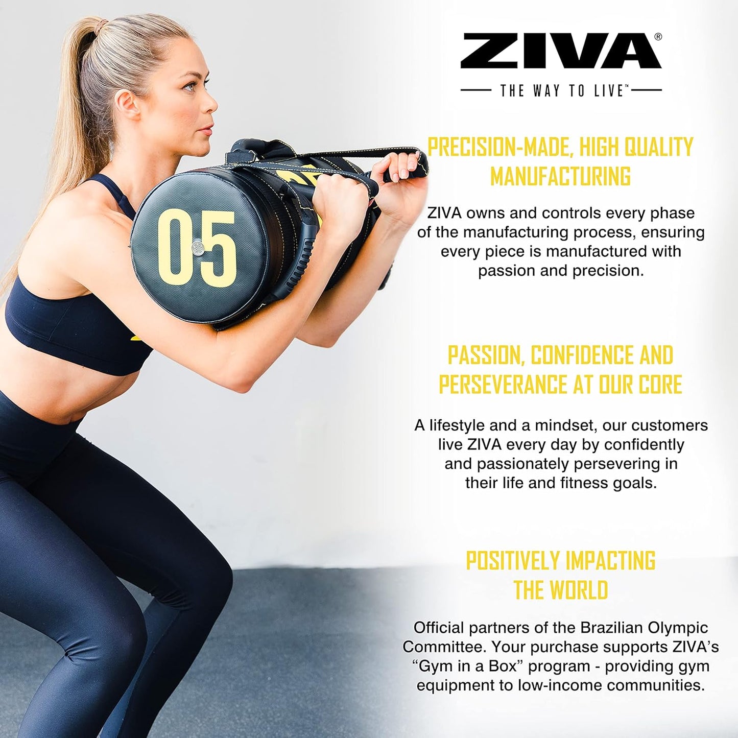 Power Sandbag – Pre-Weighted Training Bag with Multiple Handles for Full-Body Strength & Conditioning – Heavy-Duty, No-Fill Needed (10–50 Lb)
